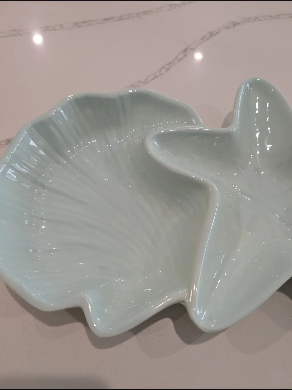 Pier 1 Imports Seabirds divided serving dish Coastal Melamine Platter Teal